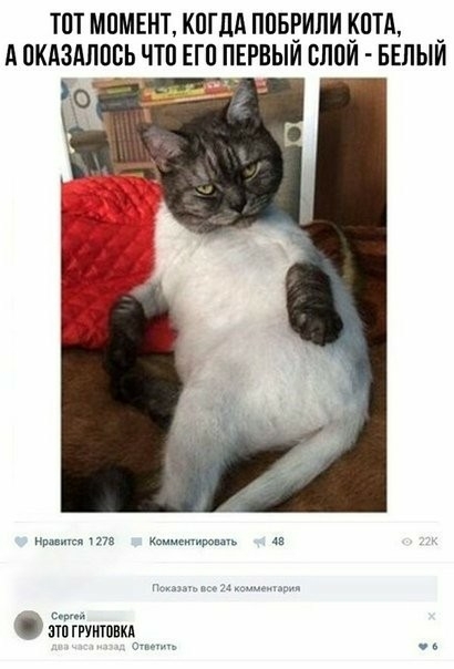 ТПТ МОМЕНТ КОГДА ППБРИЛИ КИТА А ПКАЗАЛПВЬ ЧТП ЕГП ПЕРВЫЙ ВЛПИ БЕЛЫЙ кв Пп атБгЁуитпшо