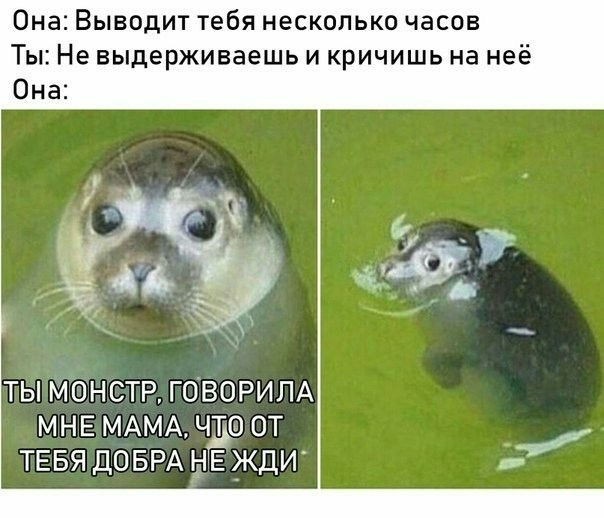 Она Выводит тебя несколько часов Ты Не выдерживаешь и кричишь на неё Она ТЫ МОНСТР ГОВОРИЛА МНЕ МАМА чдо ОТ ТЕБЯ ДОБРА НЕ ЖДИ