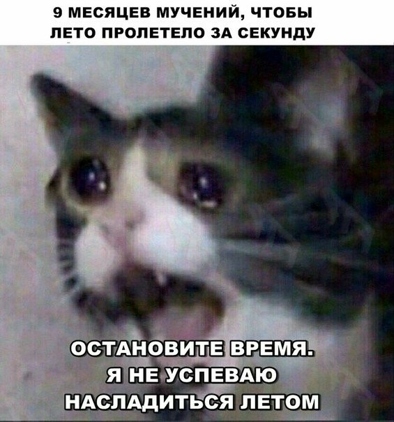 9 МЕСЯЦЕВ МУЧЕНИЙ ЧТОБЫ ПЕТО ПРОПЕТЕПО ЗА СЕКУНДУ Адитьея пЕтомЁ В