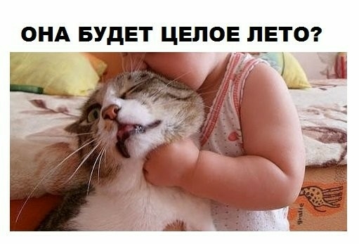 ОНА БУДЕТ ЦЕЛОЕ ЛЕТО