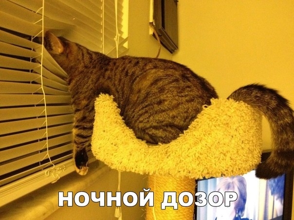 ночной дом