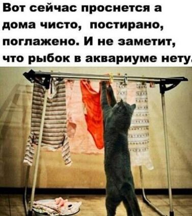 Вот сейчас проснется а дома чисто постирано погпажеио И не заметит что рыбок в аквариуме мету