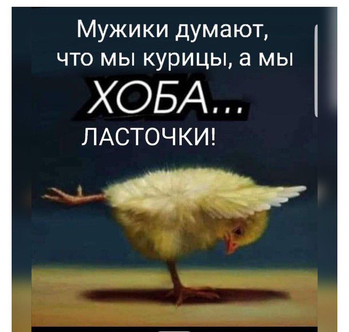 Мужики думают что мы курицы а мы ХОБА ЛАСТОЧ КИ Р