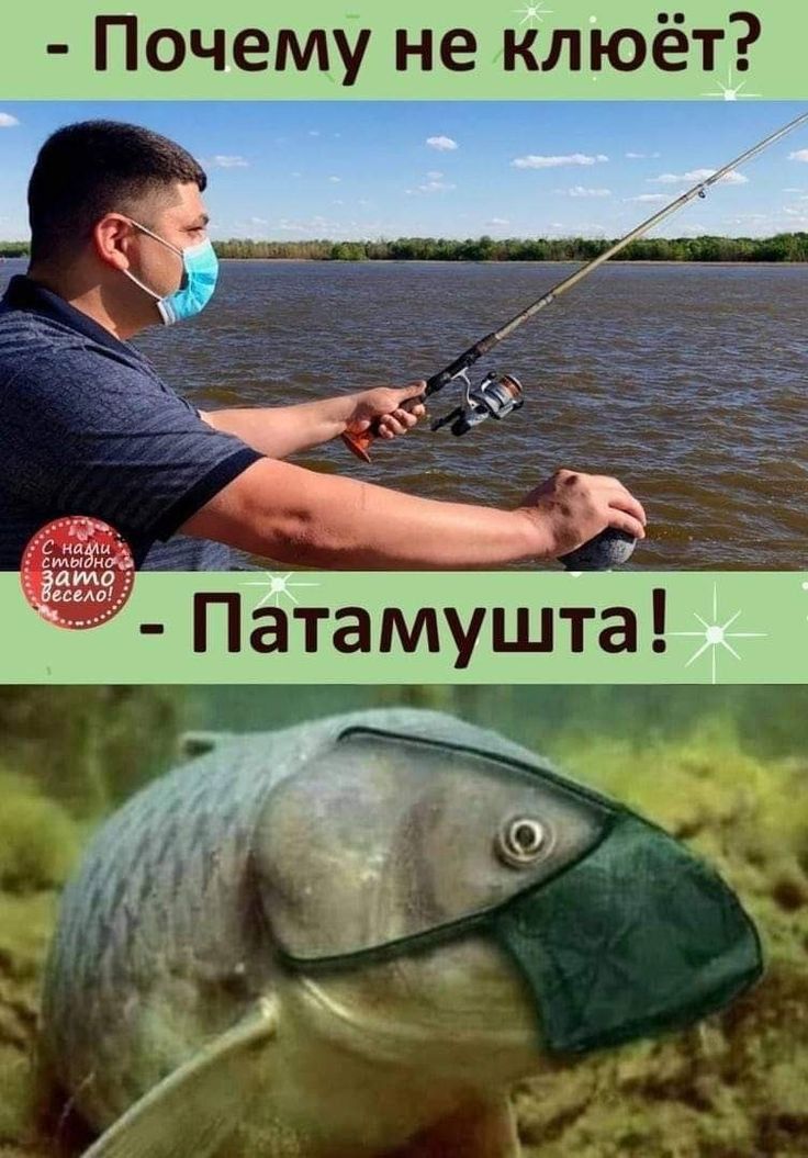 Почему не клюёт