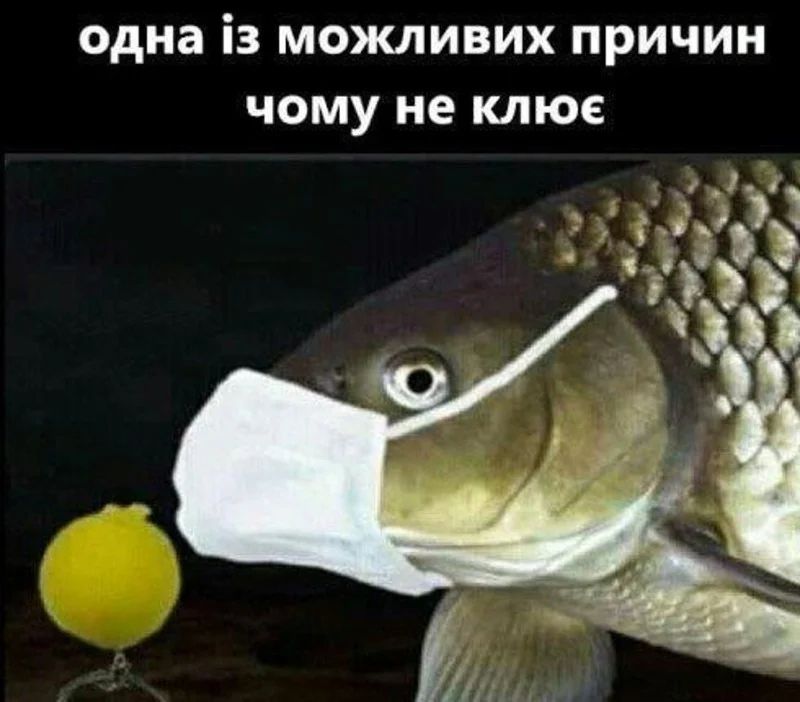 одна із можливих причин чому не клюе