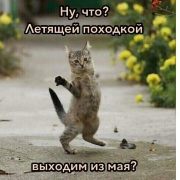 Ну что Аетя щейпоходкой