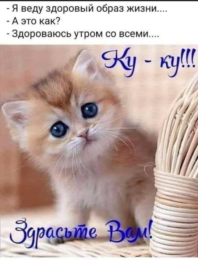 Я веду здоровый образ жизни А это как ЗДОРОВЭЮСЬ УТРОМ СО всеми