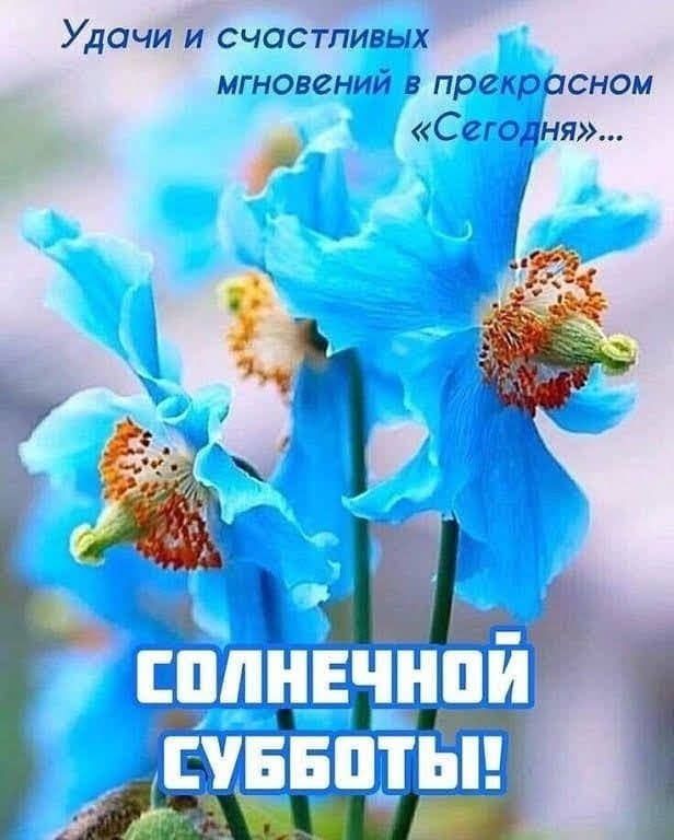 Удачи и счастливых мгновений в прекрасном С ег ня г ЦД ШДЁ ___ц___н_г