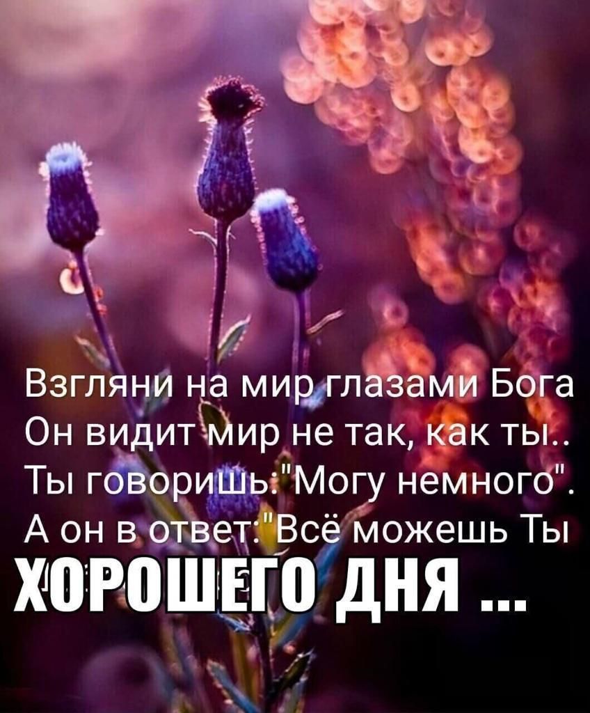 Взгляни на мир амй Бога Он видит Жир не так как ты Ты гоЪориШы Могу немного А он в отЪетЪсё можешь Ты ХПРПШЕГП дНЯ