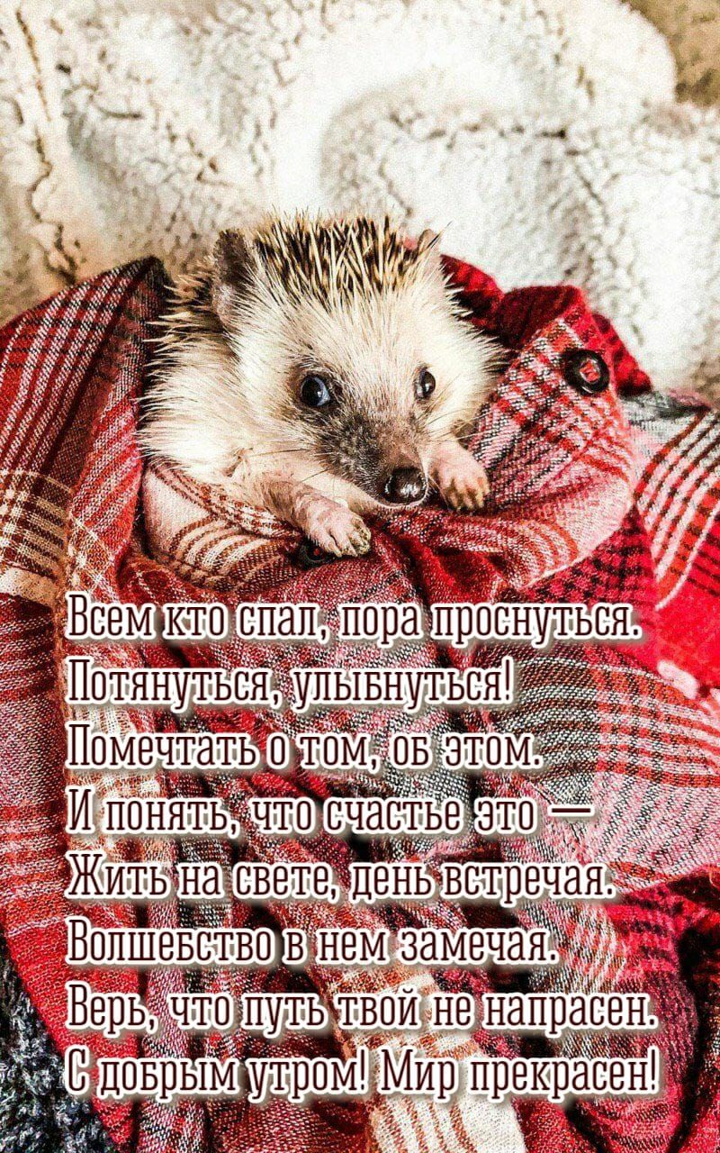 уьс _упывн ы Помечттътдом этом