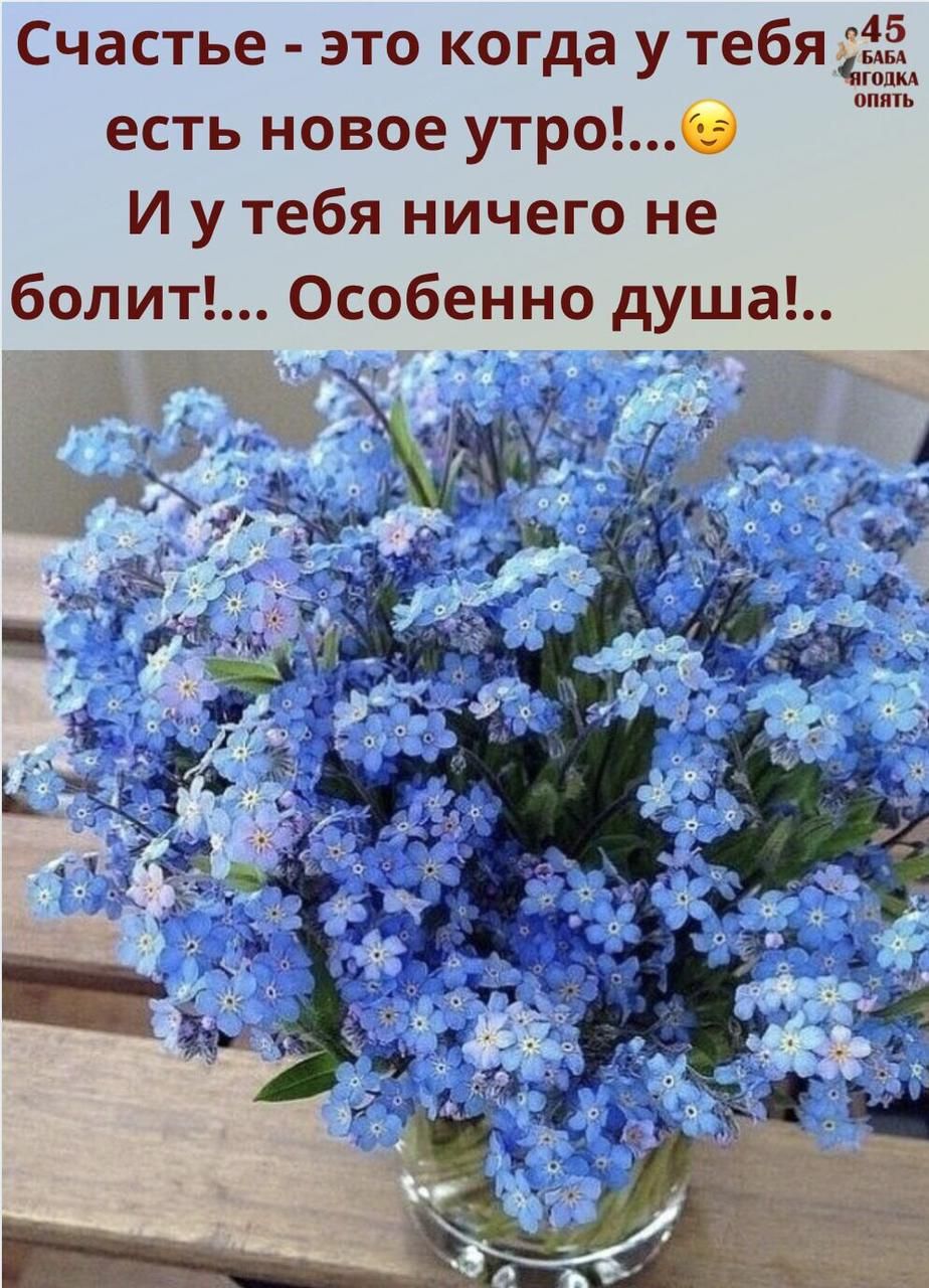 Счастье это когда у тебя 45 есть новое утроб И у тебя ничего не болит Особенно душа гош ОПЯТЬ