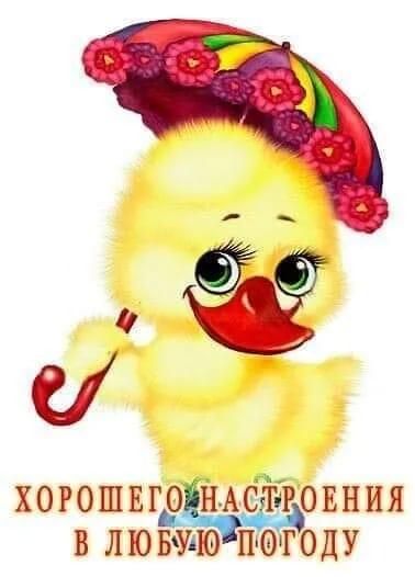 а ХОРОШЕГОНАёііі РОЕНИЯ В ЛЮБМЮ ПОГОДУ