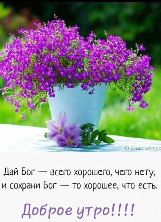 Дай Бог всего хорошего чего нет и сохрани Бог то хорошее что есть
