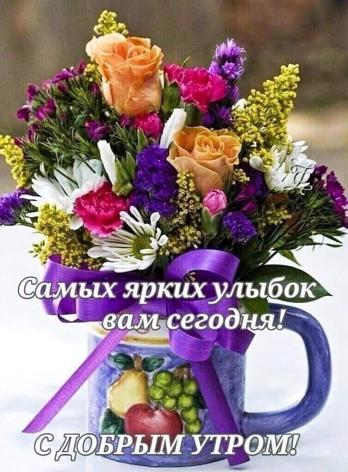 вамсегодня __ БРЫМ УТРОМ