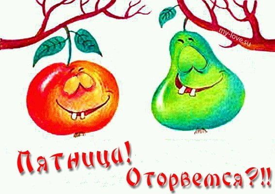 аТН Медвежата