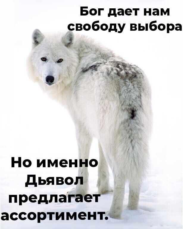 Бог дает нам свободу выбора 3 __ ет Но именно дьявол 6 предлагаётдд Ё ассорти ментжъ