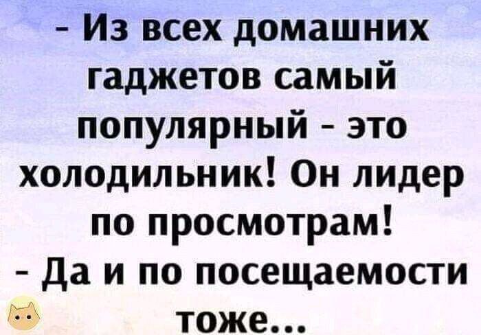 Из всех домашних гаджетов самый популярный это холодильник Он лидер по просмотрам да и по посещаемости тоже