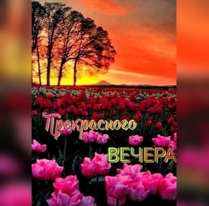 ЕЧіЕ нг