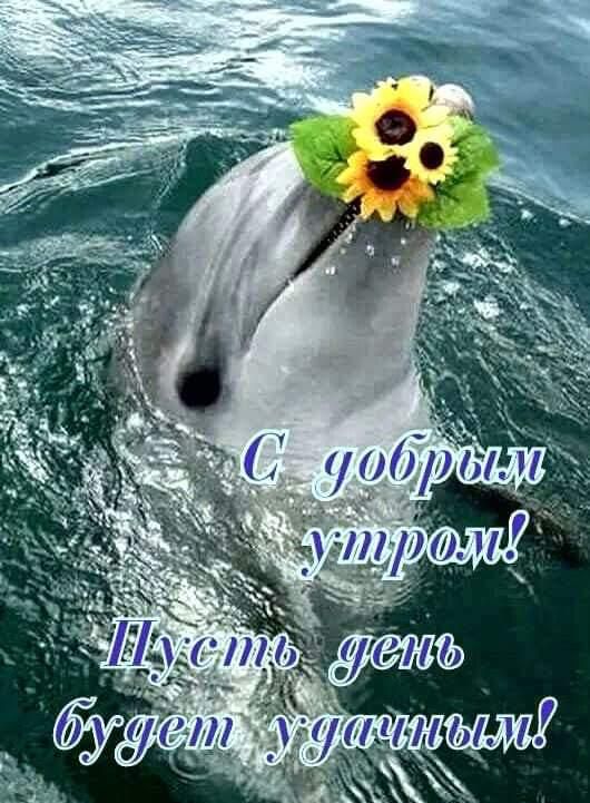 _ т н