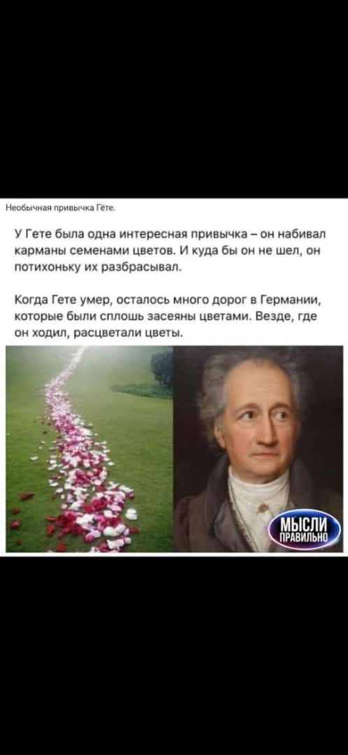г быпа одна ересная иг а _ набнвап изщны семенам ЦЕЕУОН Н 13 Ш он не ШЕП вн пишем разбрпсываи Кищл Г умер иск иск много ЦОП Гешшнпн шорые Были шпошь 3 вечны цвешмн ББ Ще цг 0дип решившим цве