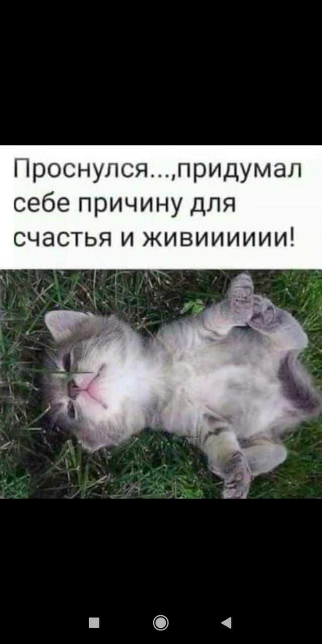 Проснулсяпридумал себе причину для счастья и живииииии