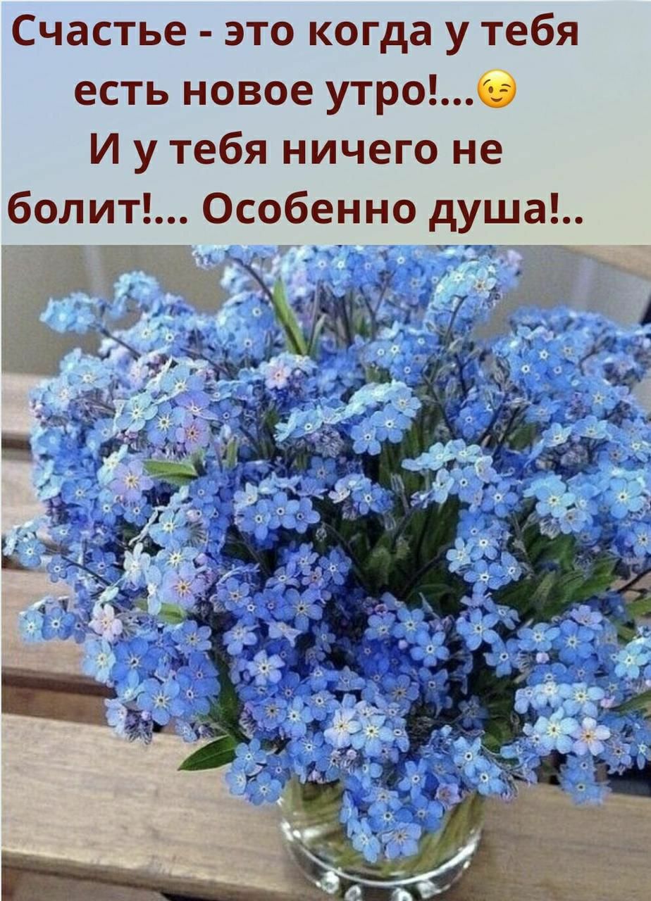 Счастье это когда у тебя есть новое утроб И у тебя ничего не