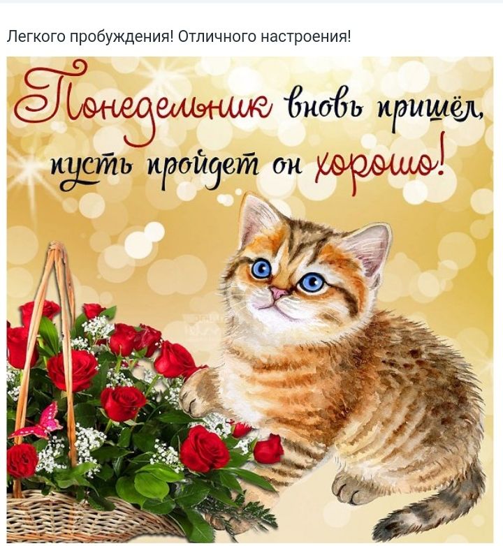 Легкого пробуждения Отличного настроения азызамши ноёь крыша жуёт иройзет он