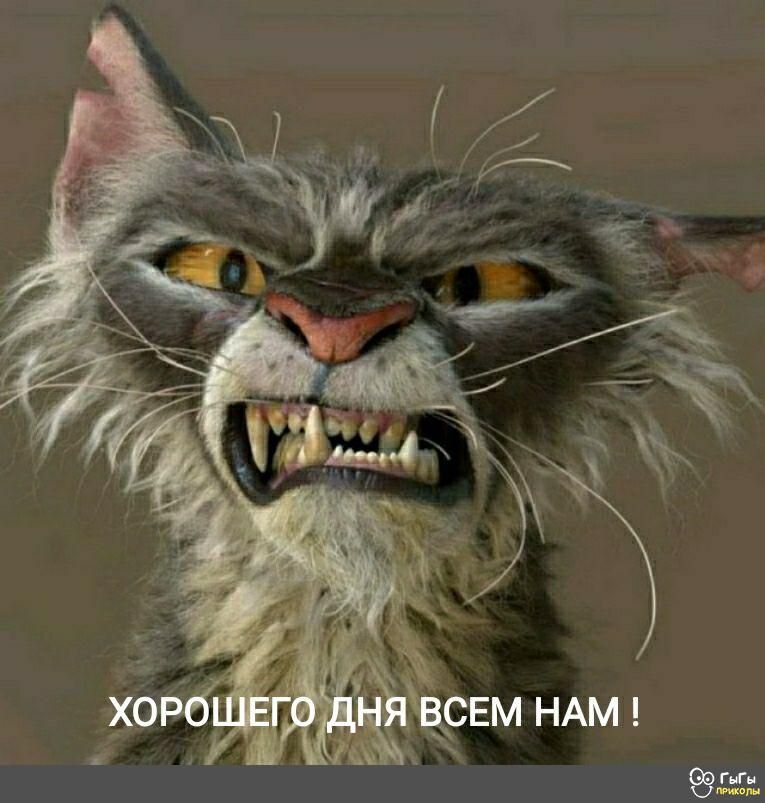 Жсвм НАМ 99