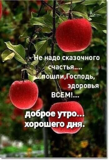 Зе дуэли ЕКВЭОЧНПГП 3СТЬЯ А пшли Гпсподь зд вы её9 доброе утро хорош