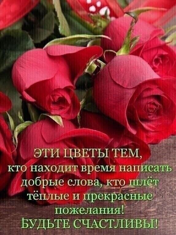 Ё Ц ЭТИ ЦВЕТЫ ТЕМ кто находит время на добрые слова то тёплыеи