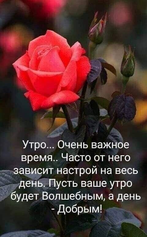 Утро Очень важное время Часто от него ЕЁТЗЗЁЁИТ настрой на весь 1 енЁЁъГ іусть ваше утро _ будет Волшебным а день Добрым