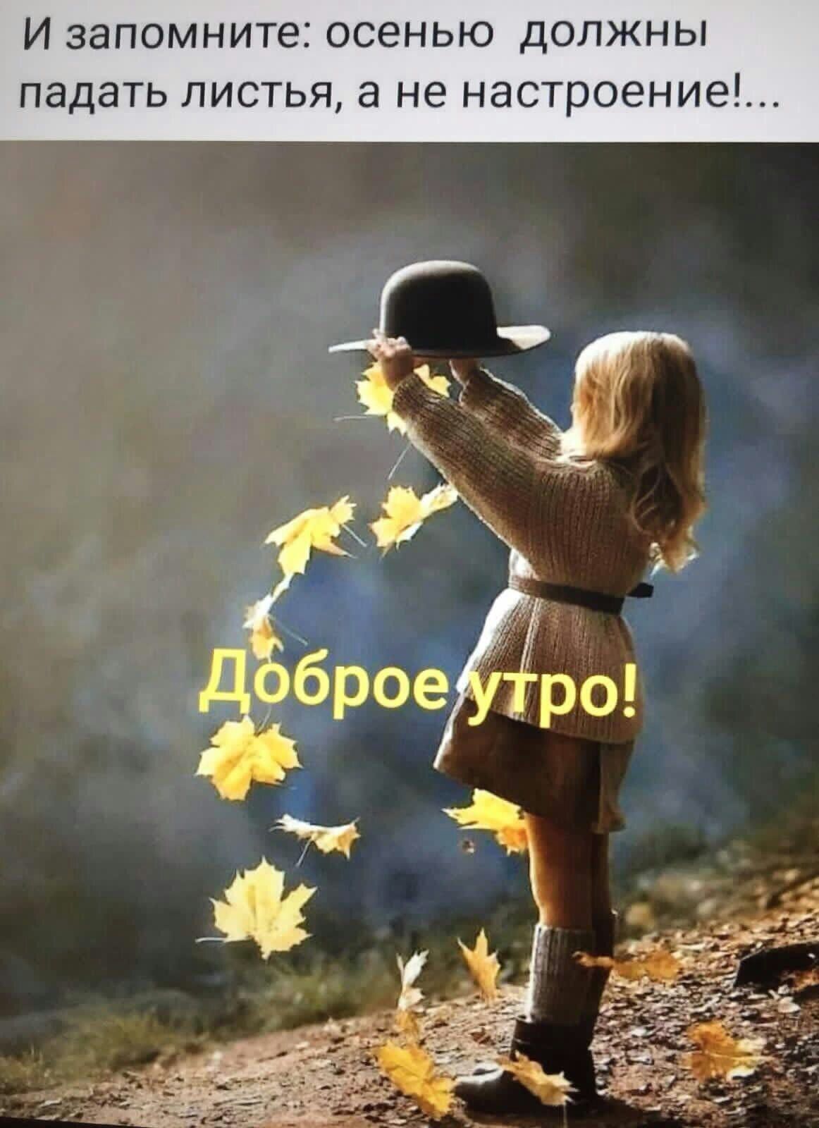 И ЗЭПОМНИТеі ОСЕНЬЮ ДОЛЖНЫ падать ЛИСТЬЯ а не НЭСТРОЭНИ6