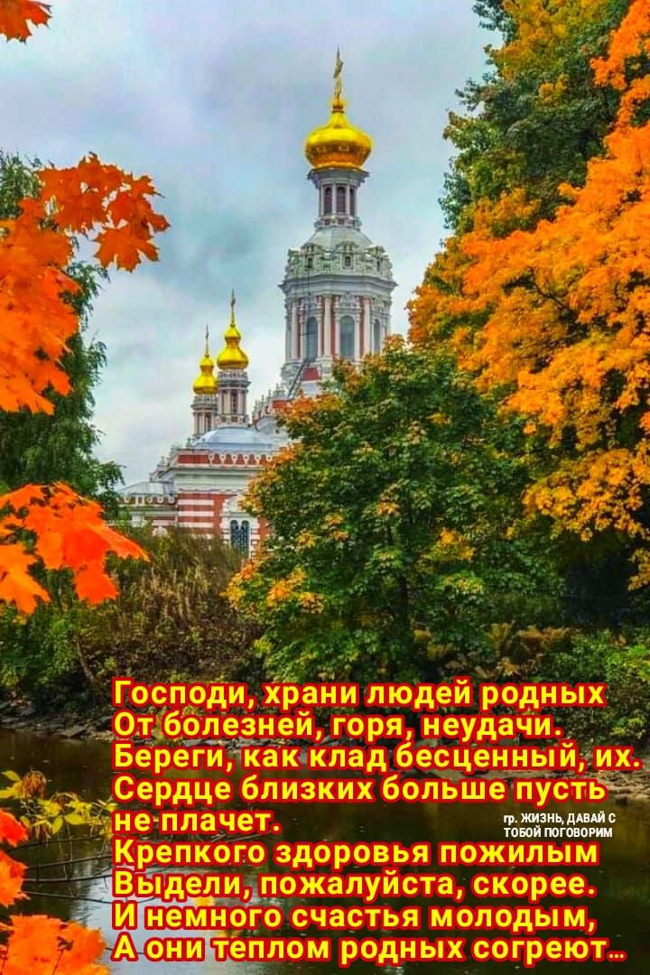 пр жизкц ддвдй твой тговиим