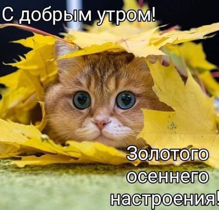 СЪФЭПЁЁТЗГЁ строоншяпі