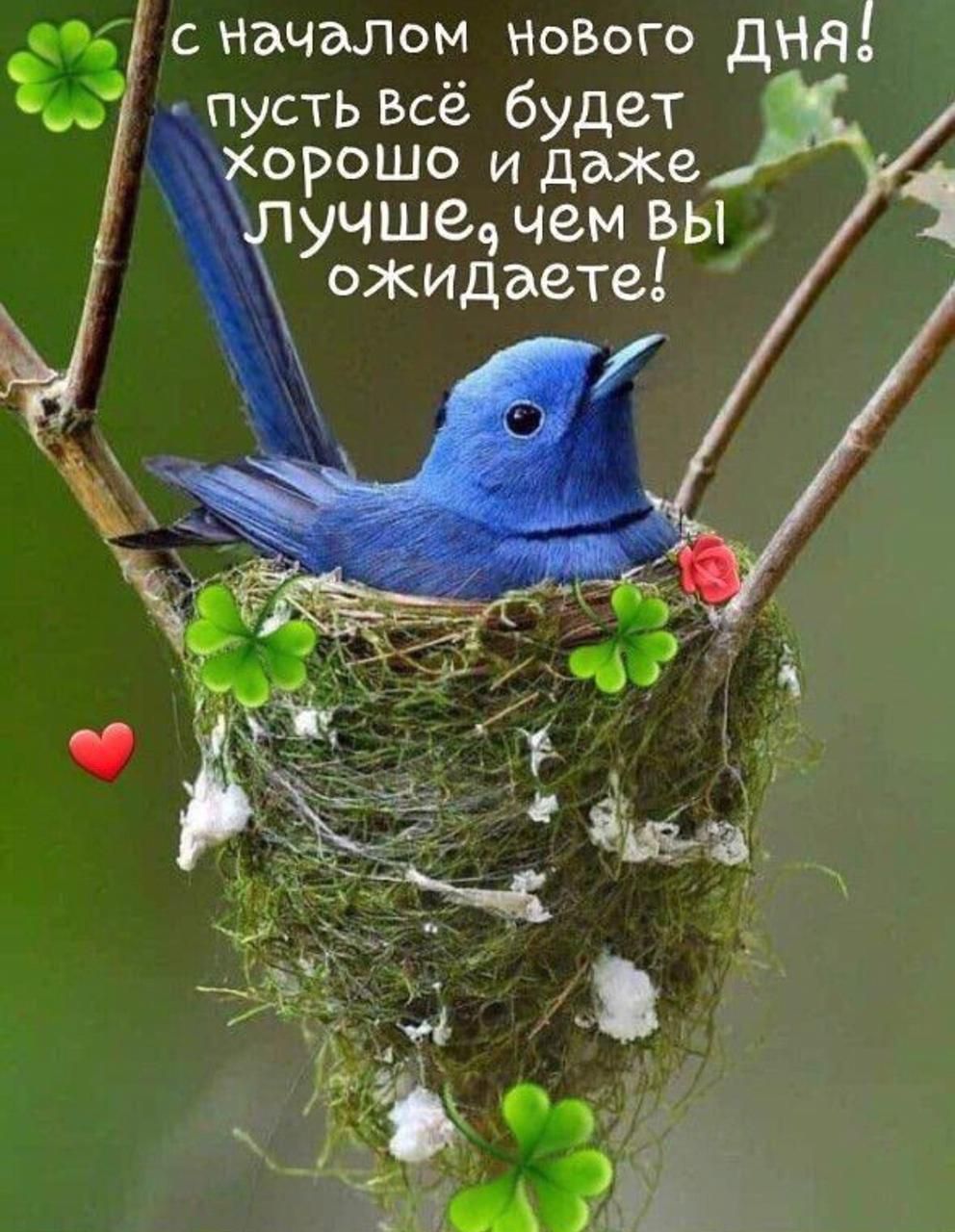 сначалом НоВого дня пусть Всё будет орошо и даже учшеч чем вы ожидаете