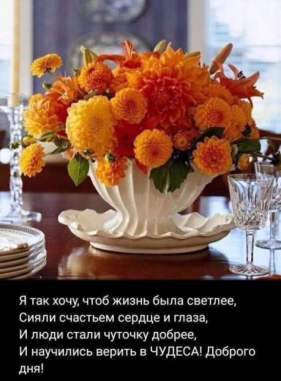 Я так хочу чтоб жизнь была светлее Сияпи счастьем сердце и глаза И люди стали чуточку добрее И научились верить в ЧУДЕСА Доброго дня