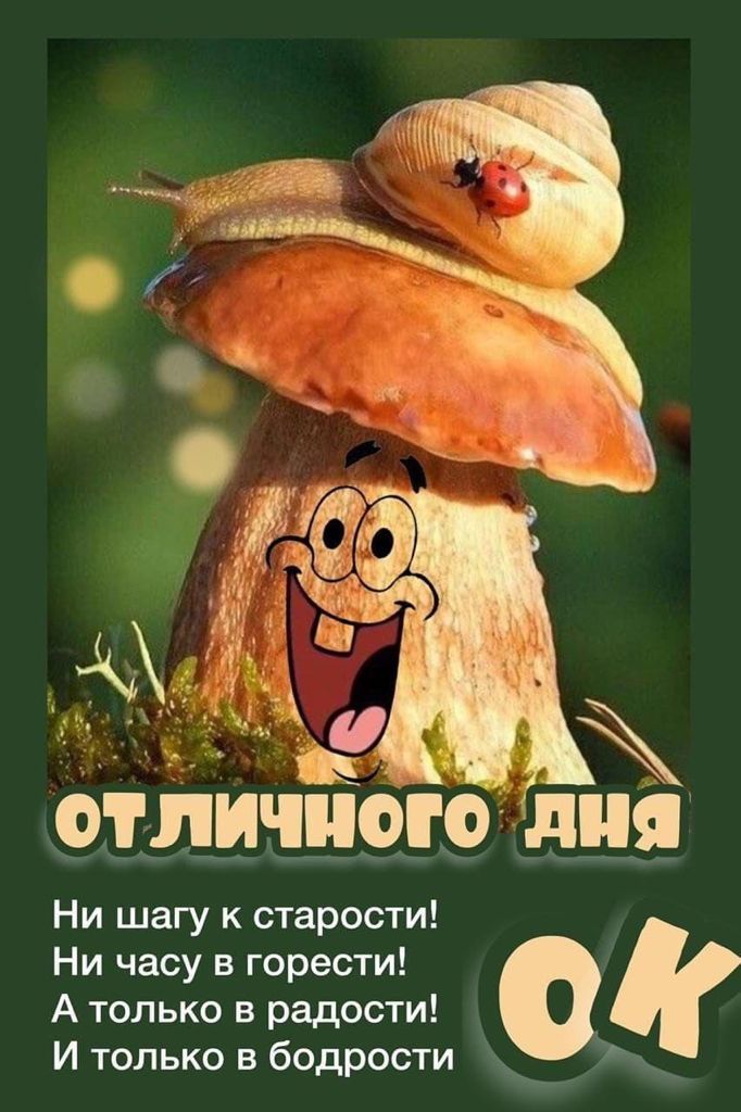 и ъмшмщ ьы Ни шагу к старости Ни часу в горести А только в радости И только в бодрости