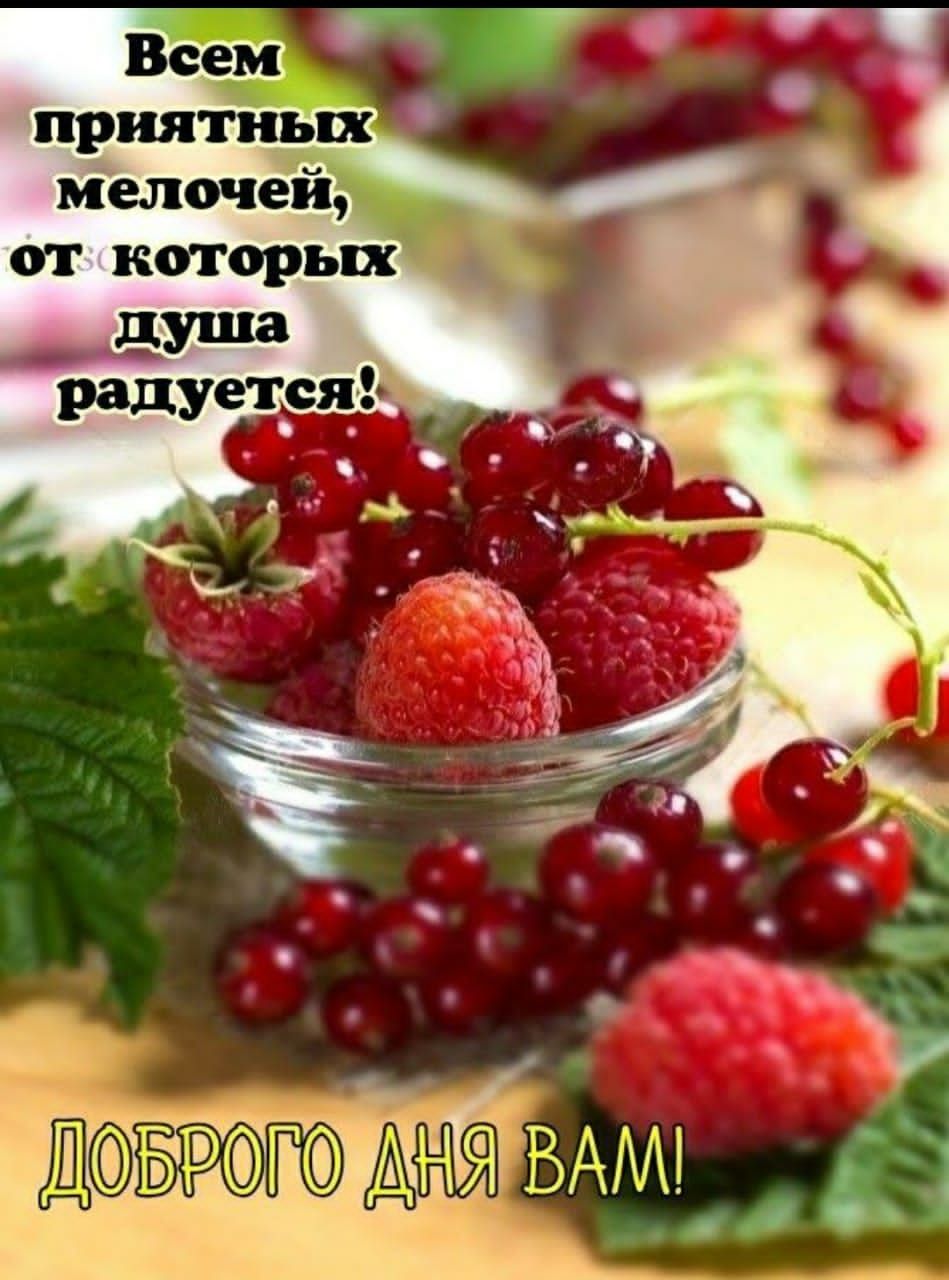 от которь душ радуется