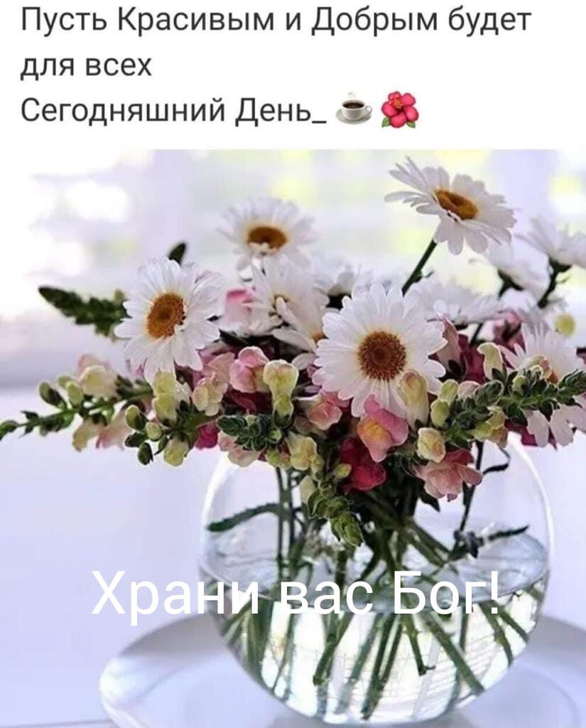 Пусть Красивым и Добрым будет для всех Сегодняшний День_ Зг