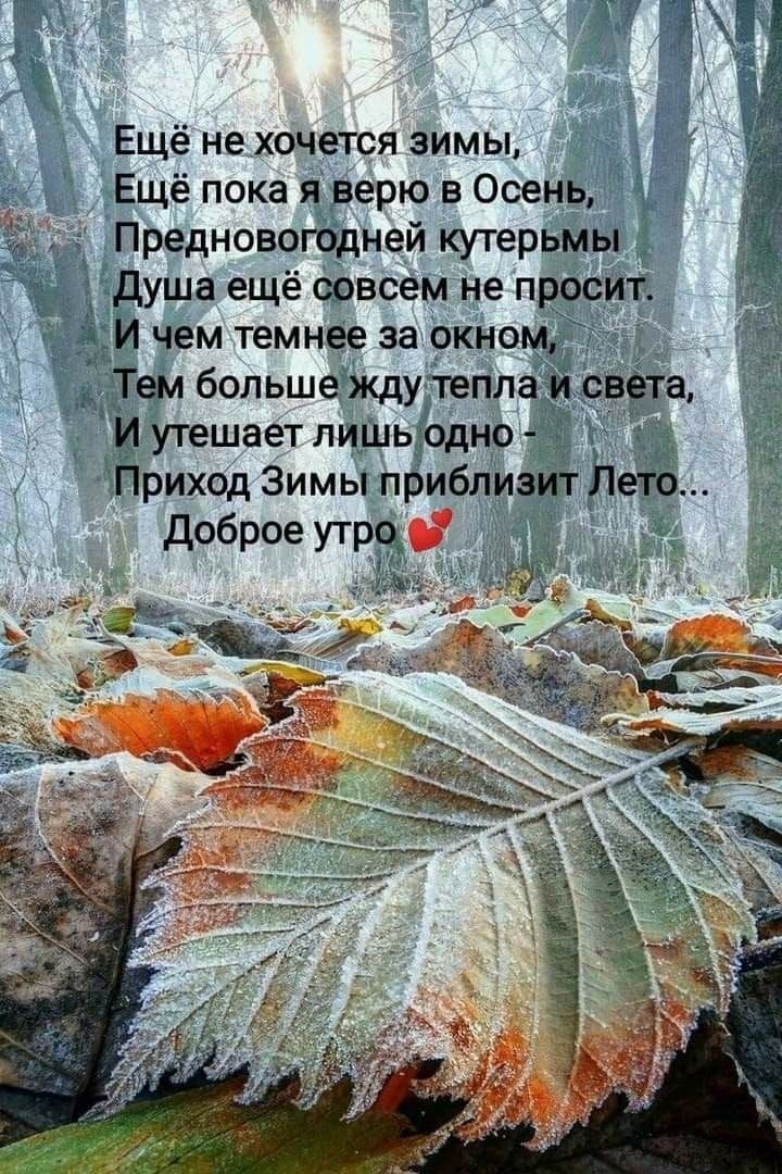 Ещё не хочется зимы _ Ещё пока яідверю в Осень Предновогддней кутерьмы Душа ещё савсем не пр ___ И чем темнее за ркном Тем большеёкдуігегт Ёпешает лиШьдоднр риход Зимы прбиблйэш 1е доброе ут Ё _