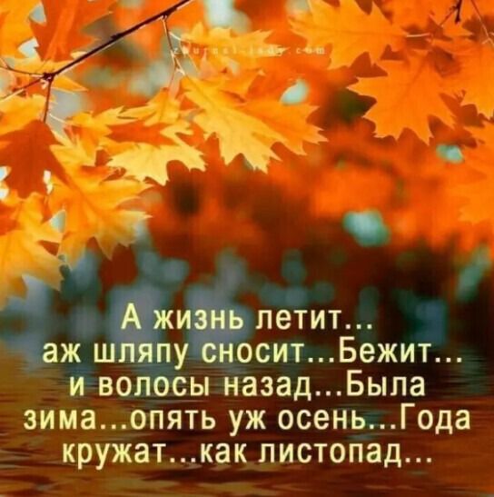 ж оситБежит йвво _ _ы назадБыпа зимаопять уж осеньГода кружаткак листопад Ёётит