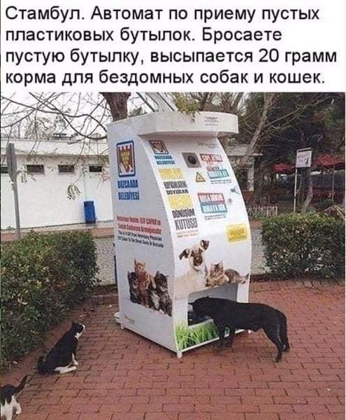 Стамбул Автомат по приему пустых пластиковых бутылок Бросаете пустую бутылку высылается 20 грамм корма для бездомнь