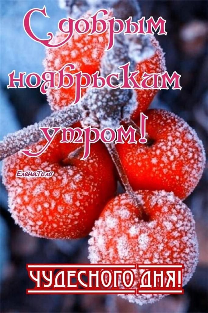 ЧЪШЕСПФД 5111