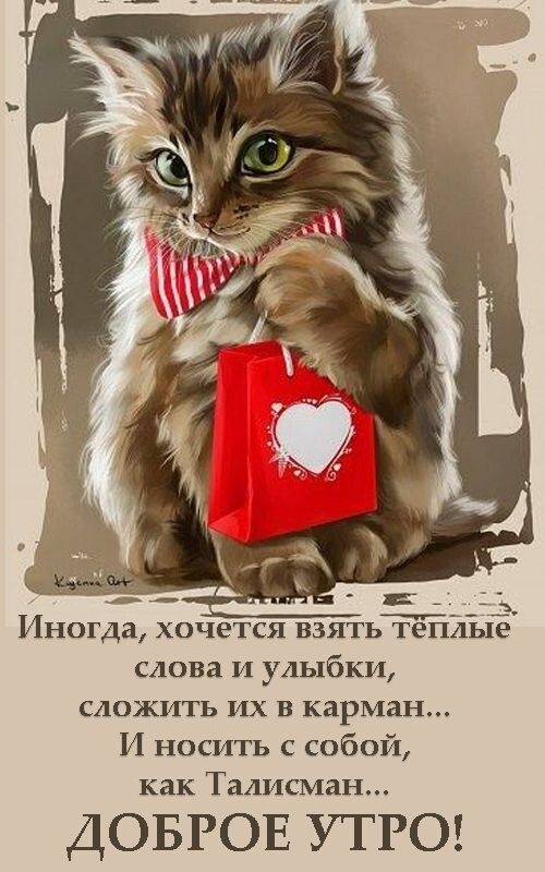 Иногда хочется взятьТёБИЪГЁ слова и улыбки сложить их в карман И носить с собой как Талисман ДОБРОЕ УТРО