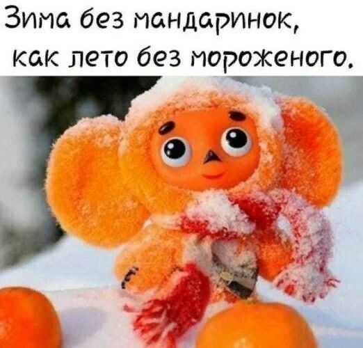 Зита без иандаринок как лето без мороженого