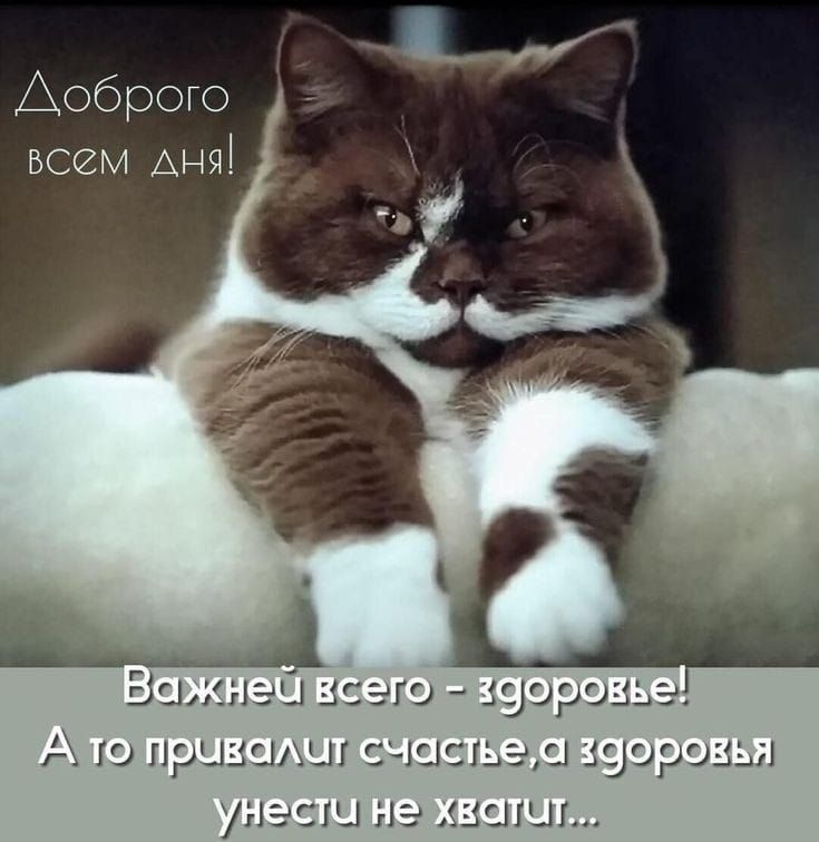 Доброго всем Аня _ аськи351 сего 9909 А Ю ризышт сьшсгьцц уорозы умееш на шаг