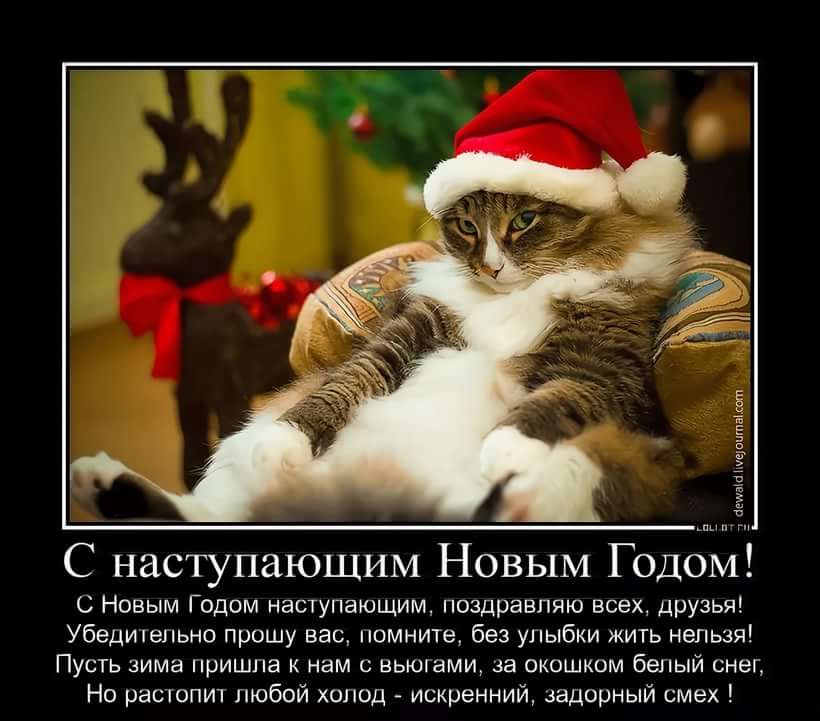 пищат Мчатты шт н С наступающим Новым Годом С Новым Годом наступающим поздравляю всех ДРУЗЬЯ Убедительно прошу вас помните без улыбки жить нельзя Пусть зима пришпа к нам с вьюгами за окошком белый снег Но растопит любой холод искренний задорный смех