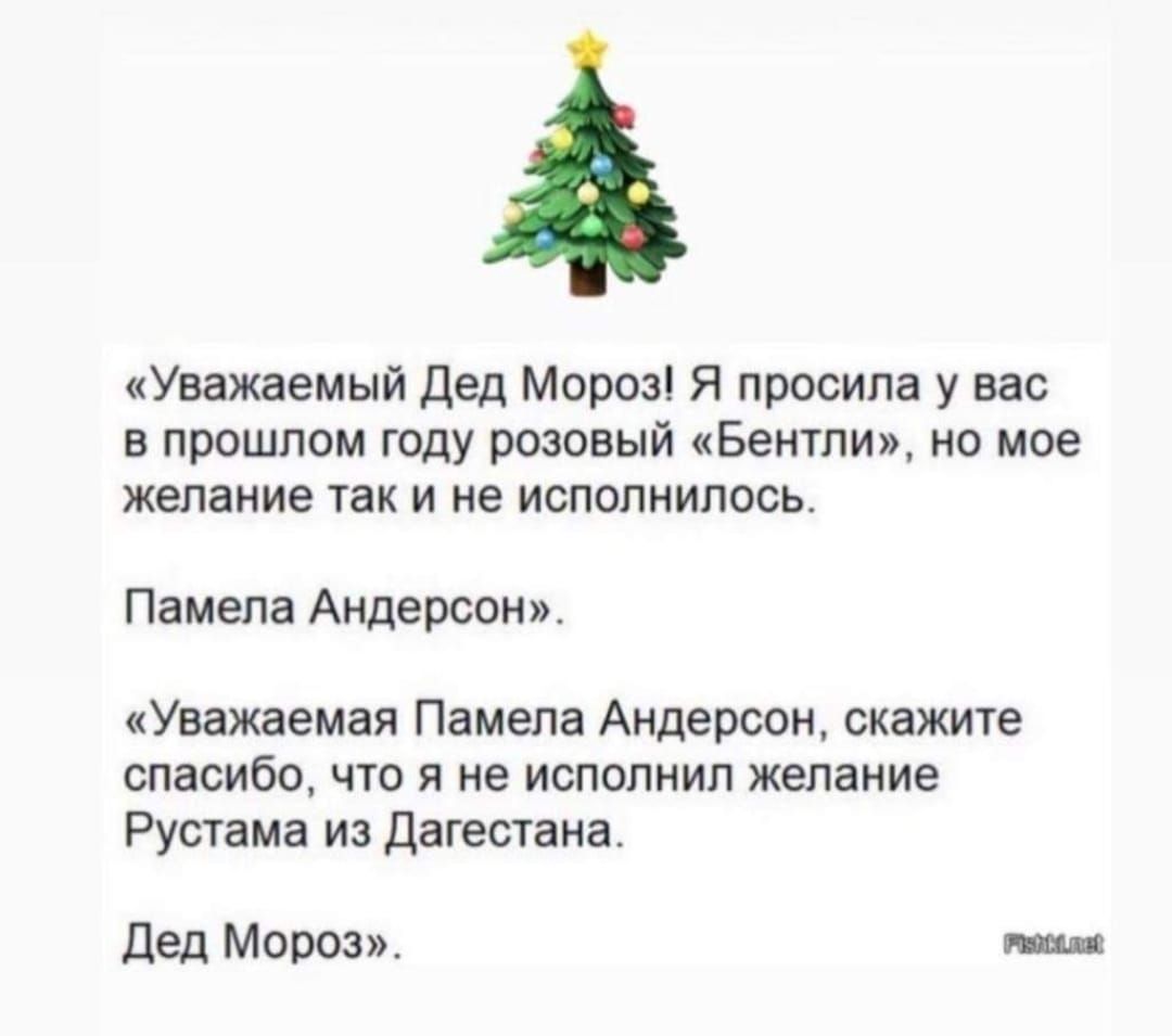 Уважаемый Дед Мороз Я просила у вас в прошлом году розовый Бентли но мое желание так и не исполнилось Памела Андерсон Уважаемая Памела Андерсон скажите спасибо что я не исполнил желание Рустама из Дагестана Дед Мороз