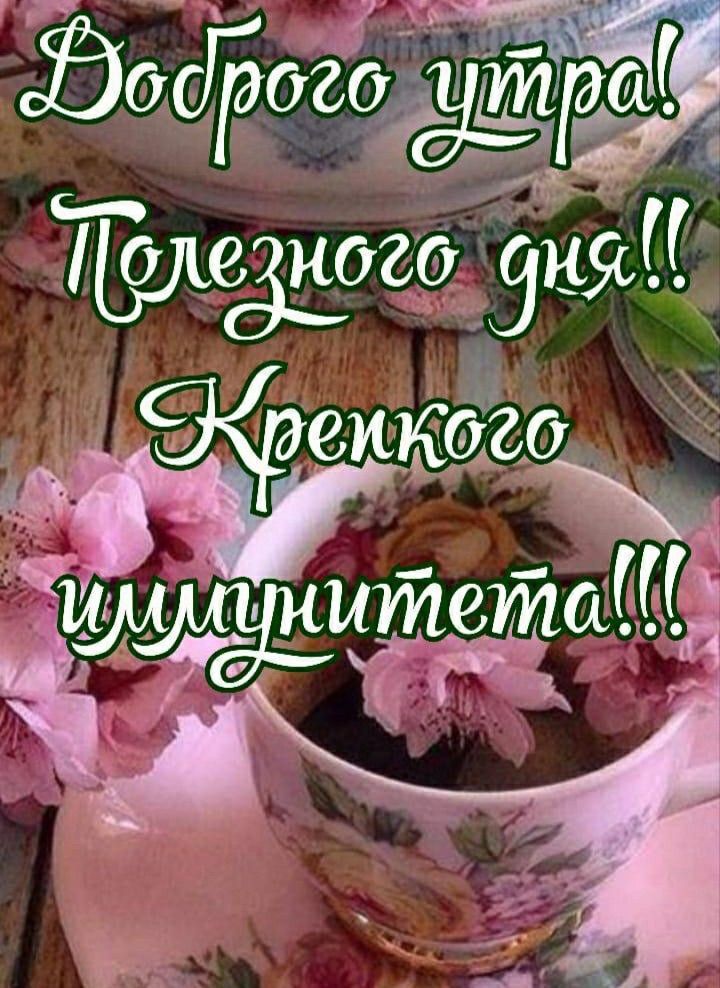 Ыёзё