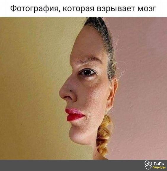 графия кот рая взрывает мозг ч ГыГы